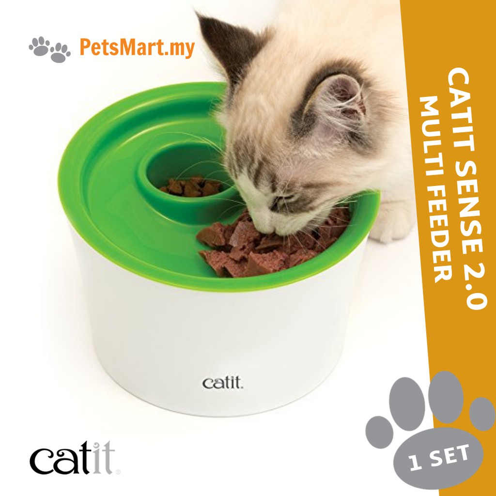 cat slow feeder petsmart