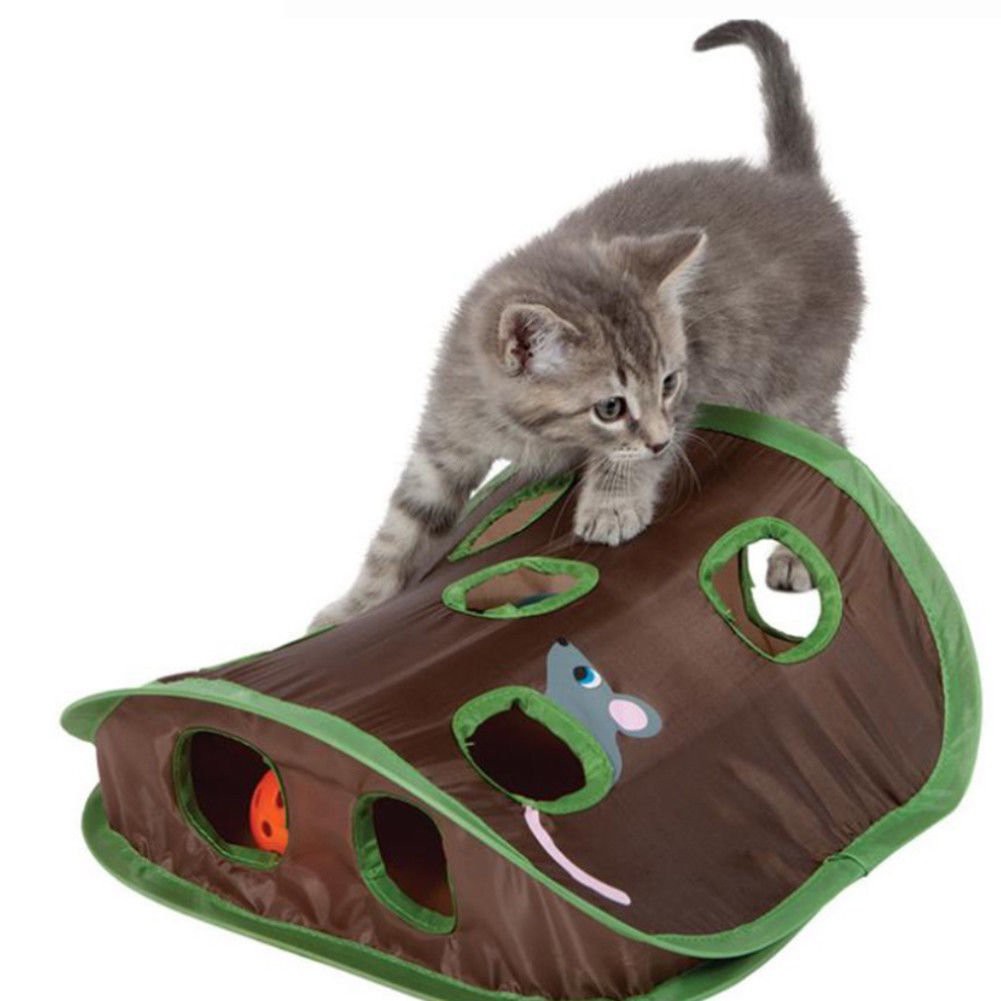 cat play tent