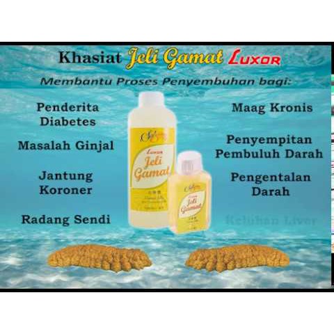 Original Luxor Jeli Jelly Gamat 350ml Shopee Singapore