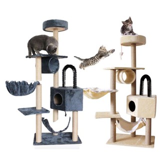 cat scratching post singapore