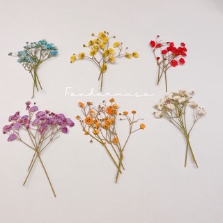Baby Breath Flower Price And Deals Sept 22 Shopee Singapore