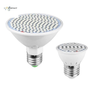 Grow Led Lighting Price And Deals Home Living Jul 2021 Singapore