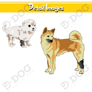 【 DIGNITYDOG 】 Korean pet health training supplies joint knee patella protector sprain prevention black S M L types #8