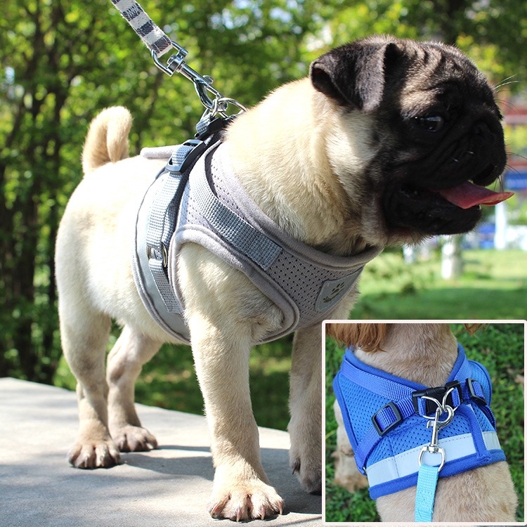 dog harnesses for medium dogs