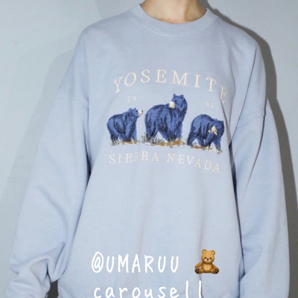 brandy melville ca bear sweatshirt