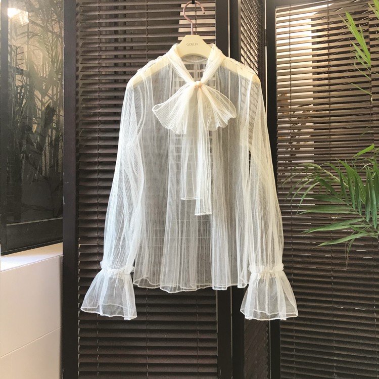 long sheer blouse