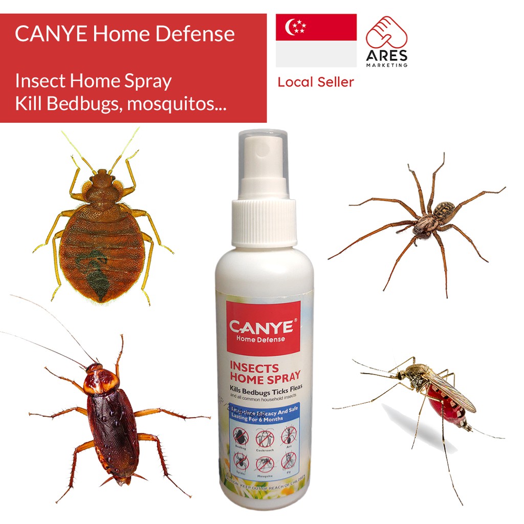 Insect Bedbug Spray (Canye) Shopee Singapore