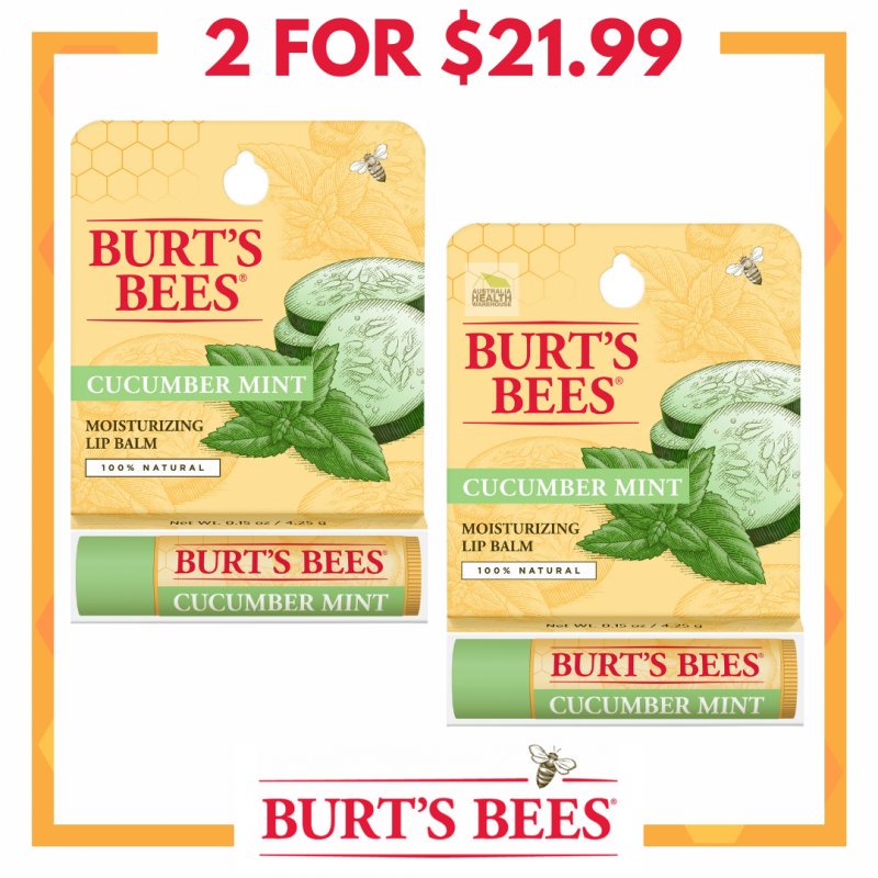 Burt's Bees Cucumber Mint Moisturising Lip Balm 4.25g (2pcs) | Shopee  Singapore