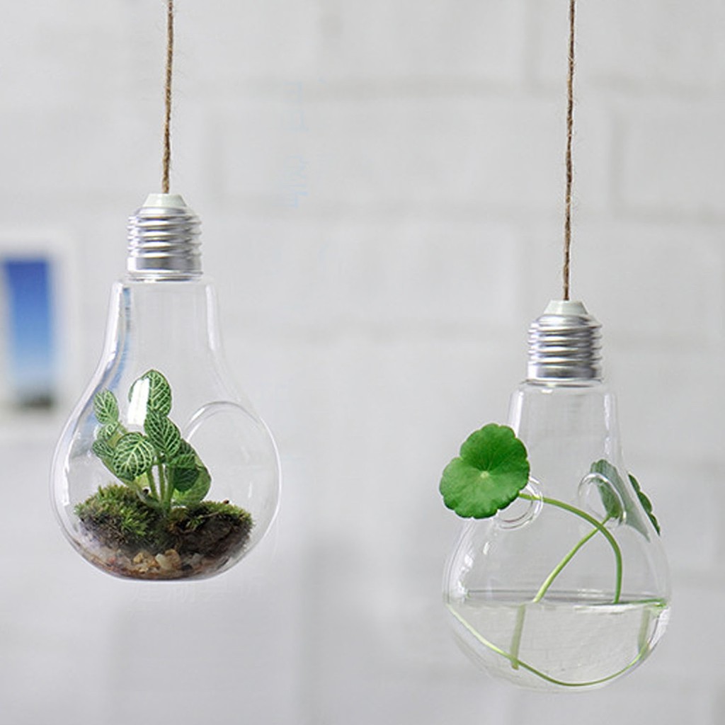 Transparent Hanging Glass Mount Flower Light Bulb Vase Bowl Home