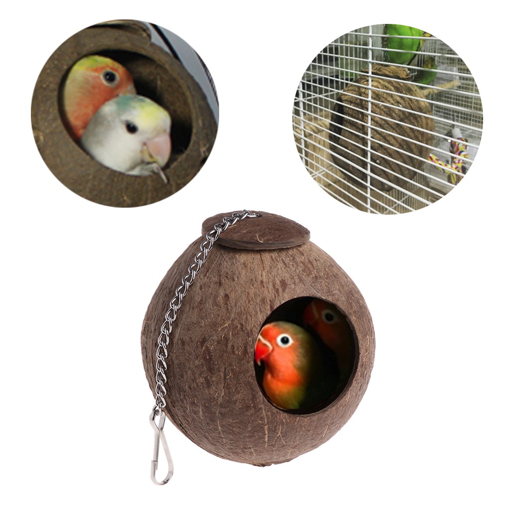 Natural Coconut Shell Bird Nest House Hut Cage Feeder Pet Parrot Budgie  Parakeet | Shopee Singapore