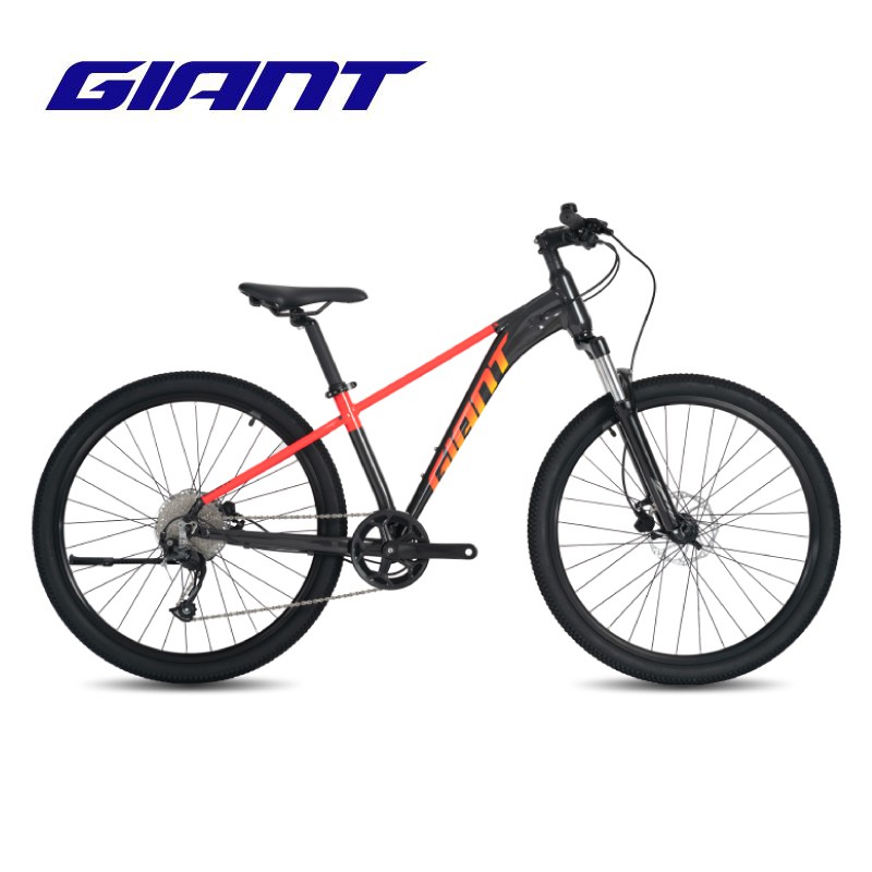 bike giant