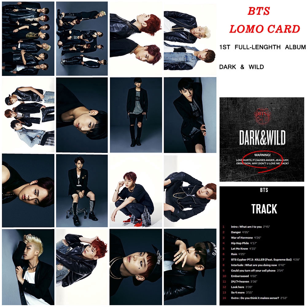 Kpop Bts Dark Wild Photo Cards Shopee Singapore