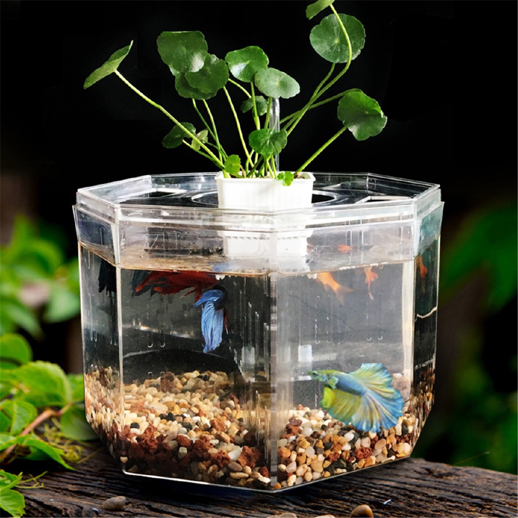 Mini Clear Acrylic Betta Aquarium Fish Tank Breeding Isolation