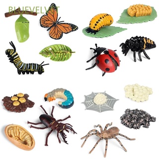 BLUEVELVET Educational Growth Cycle Model Biology Life Cycle Figurine Simulation Animals Butterfly Growth Cycle Kids Toy Spider Insect Animals Chicken Teaching Material Action Figures