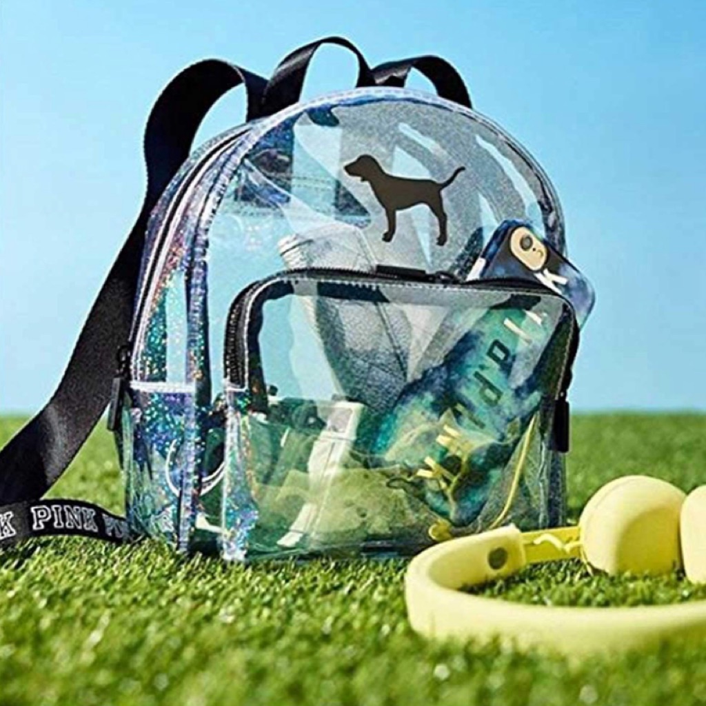victoria secret clear mini backpack