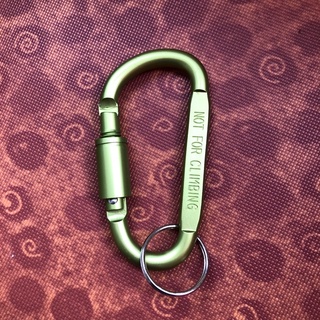 1pc D-shaped With Nut Hanging Buckle Aluminum Alloy Buckle Climbing Carabiner FG 