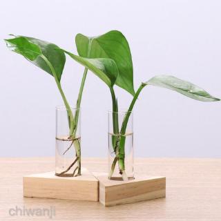 2pcs Planter Test Tube Flower Bud Vase Tabletop Glass Pots in Wooden Stand #0