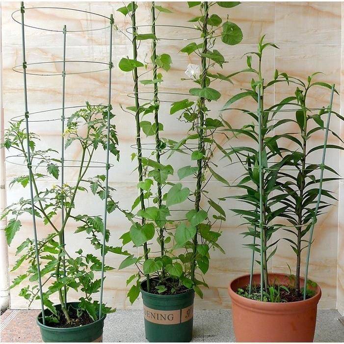 60CM 90CM Garden Trellis Climbing Plants Support Cage