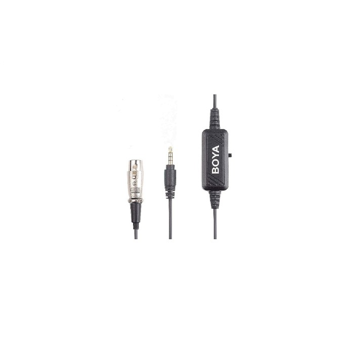 BOYA BY-BCA6 XLR to 3.5mm Plug Microphone Cable | Shopee Singapore