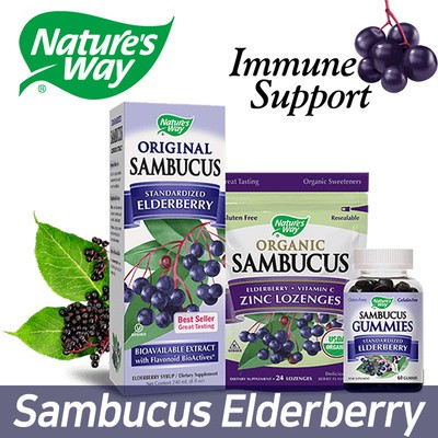 Natures Way SUGAR FREE SAMBUCUS Black Elderberry Syrup 240ml / Immune Support