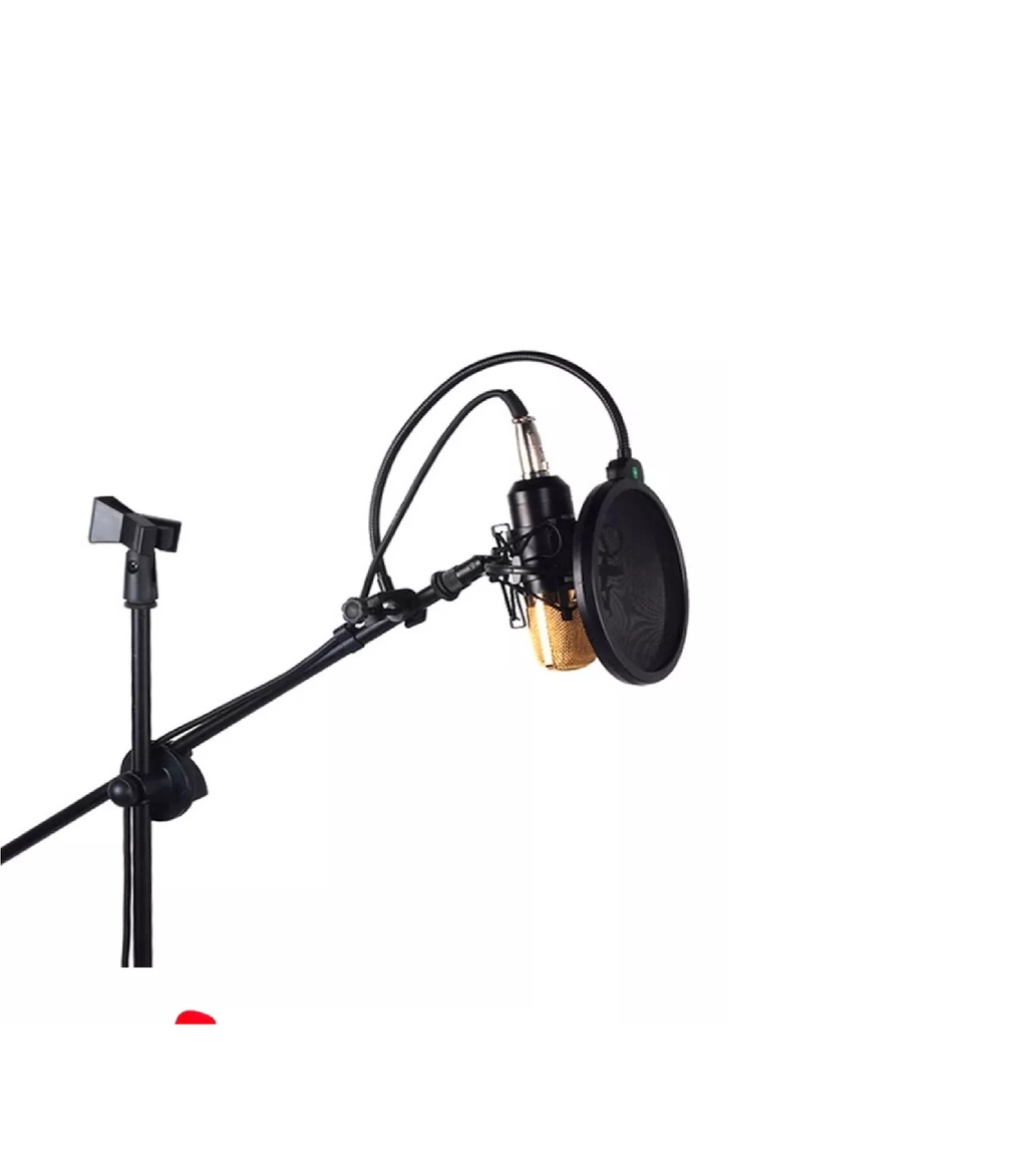 eDSLRs Professional Swing Boom Floor Stand Dual Microphone Holder Mic Stand Shopee Singapore