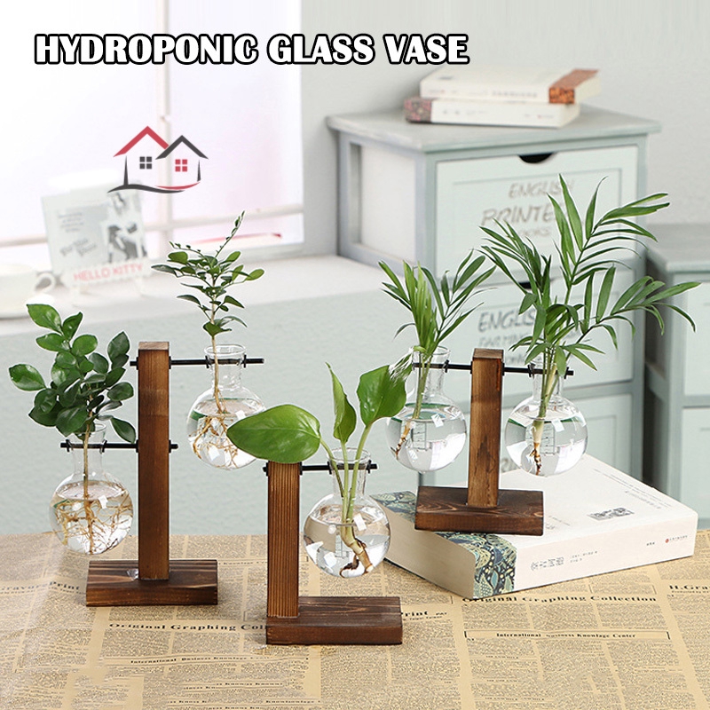 Hyp Hydroponic Plant Vase Vintage Transparent Wooden Rack