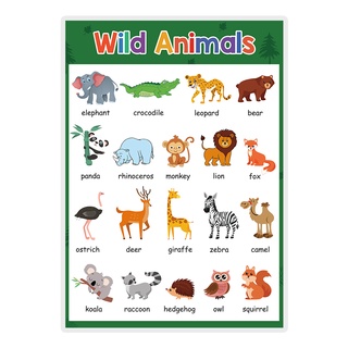 20 Themes Learning English for Children Fruit Color Animal Body Big Cards  Learning Toys School Classroom Decoration A4 Poster | Shopee Singapore