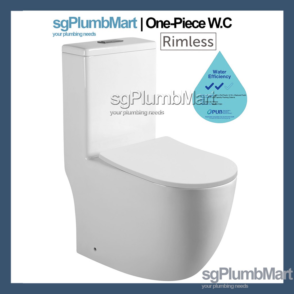 Rimless 1Piece Toilet Bowl One Piece WC Shopee Singapore