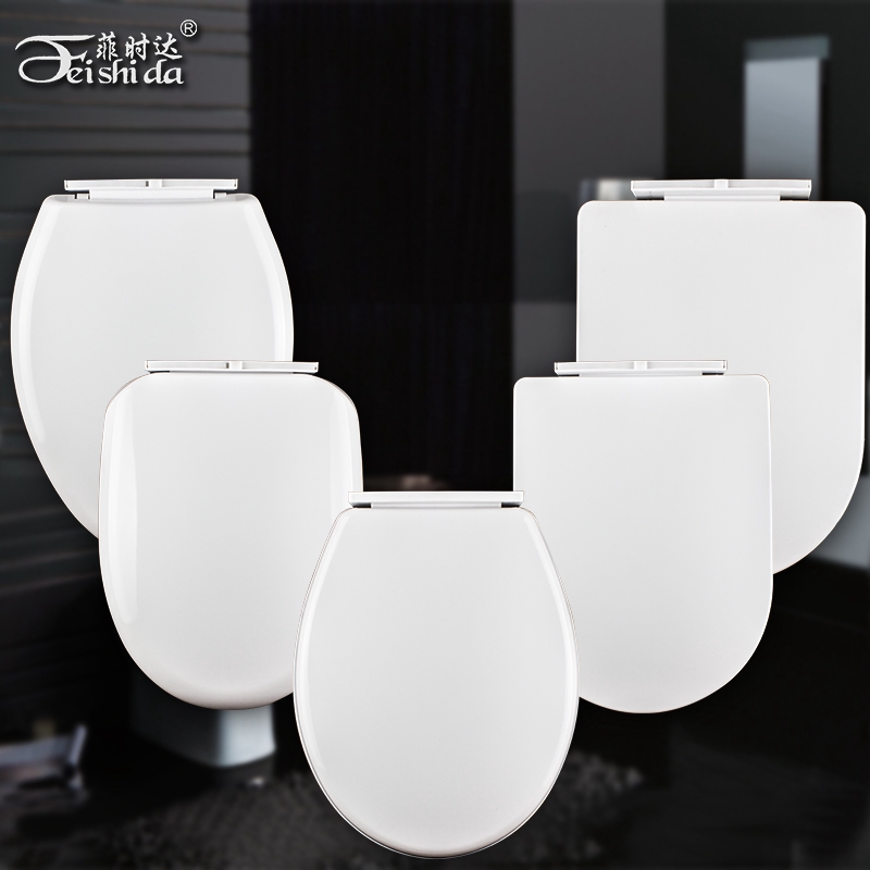 Saniton Toilet Seat Cover Singapore the most toilet