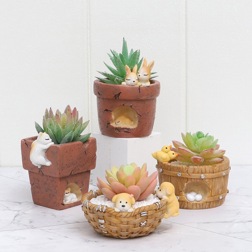 57 Types Of Succulents With Names And Pictures | Yyh-cute Rabbit Shape  Ceramic Succulent Plant Pot Container Garden Flower Deco 