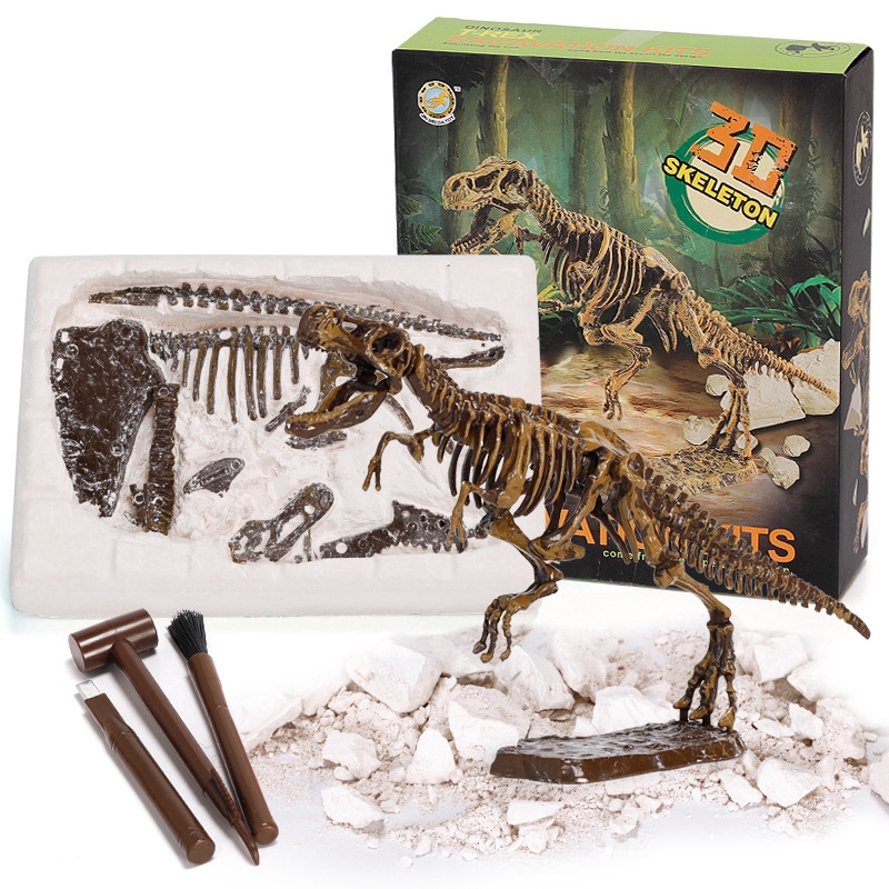 dinosaur fossils toys