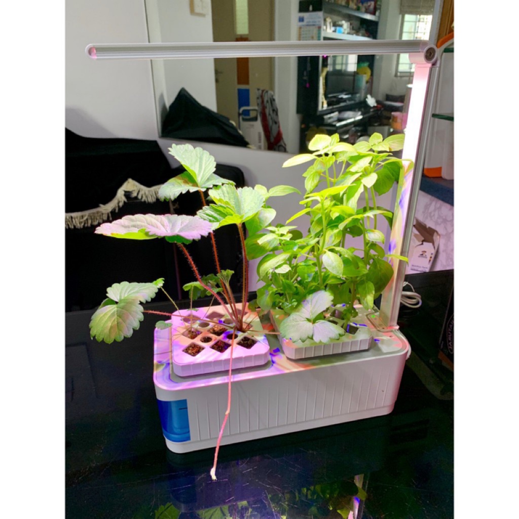 Smart Indoor hydroponic mini herbs garden with LED grow ...