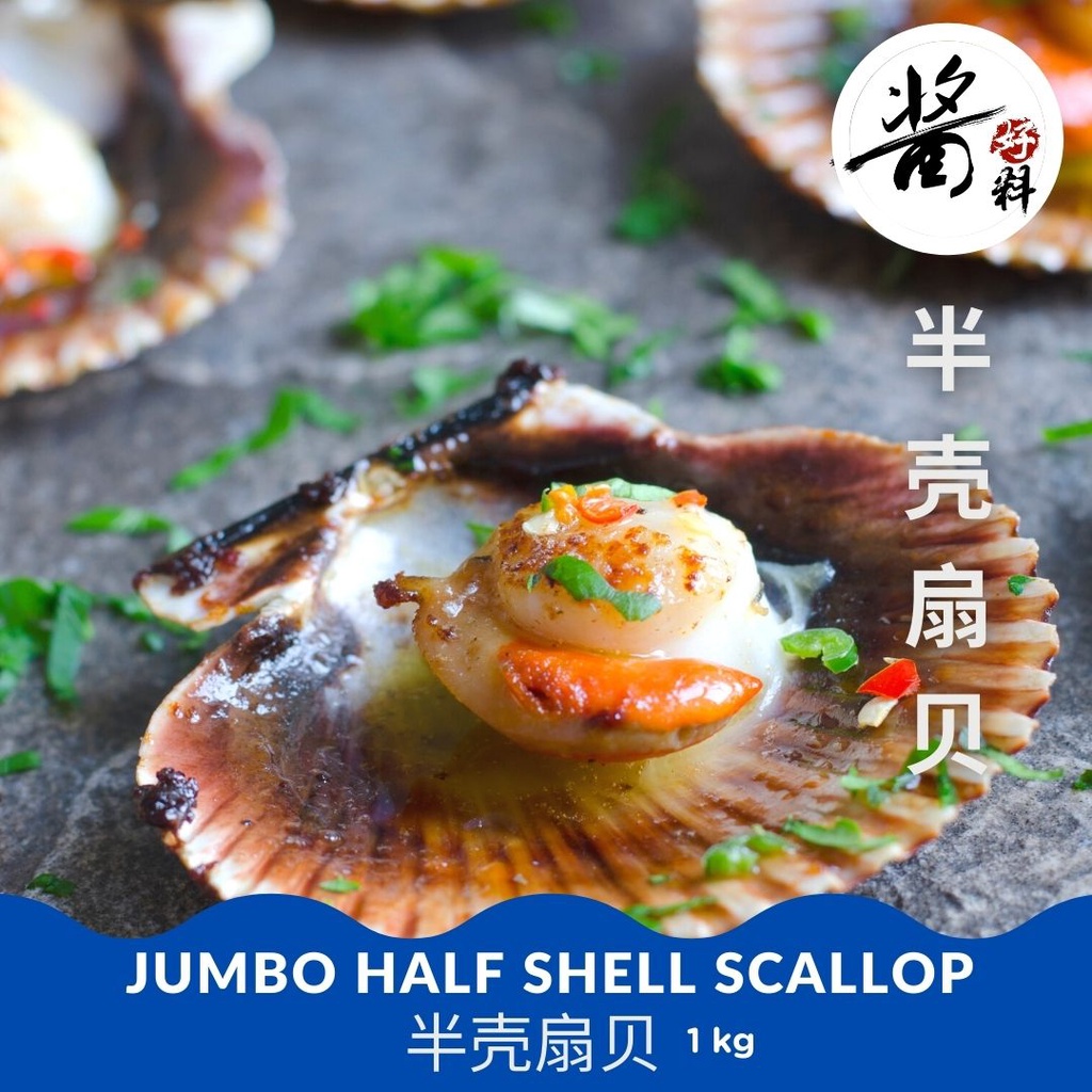 Jumbo Half Shell Scallops Frozen 1 Kg Shopee Singapore