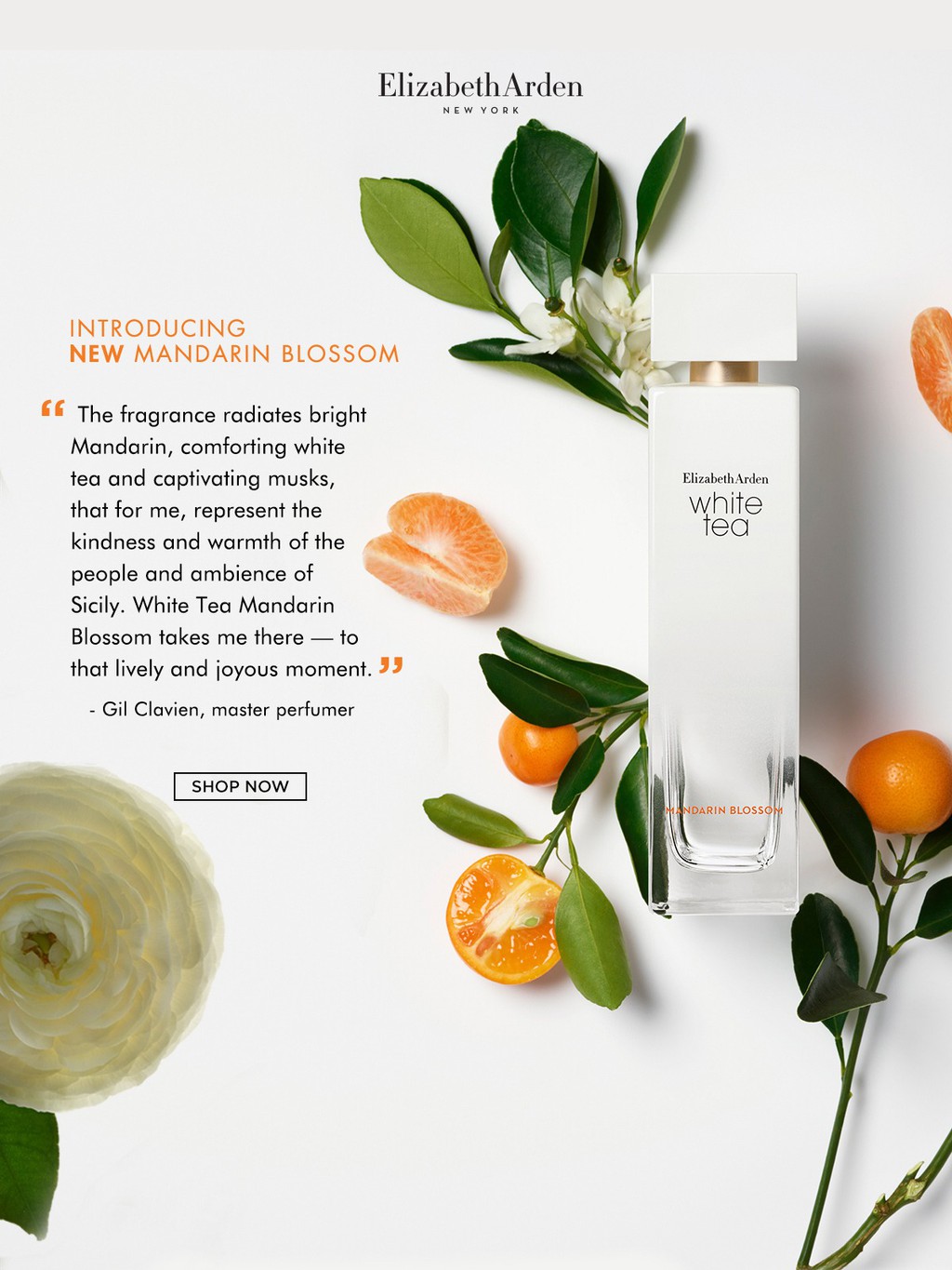 Elizabeth Arden Official Store, Online Shop Shopee Singapore