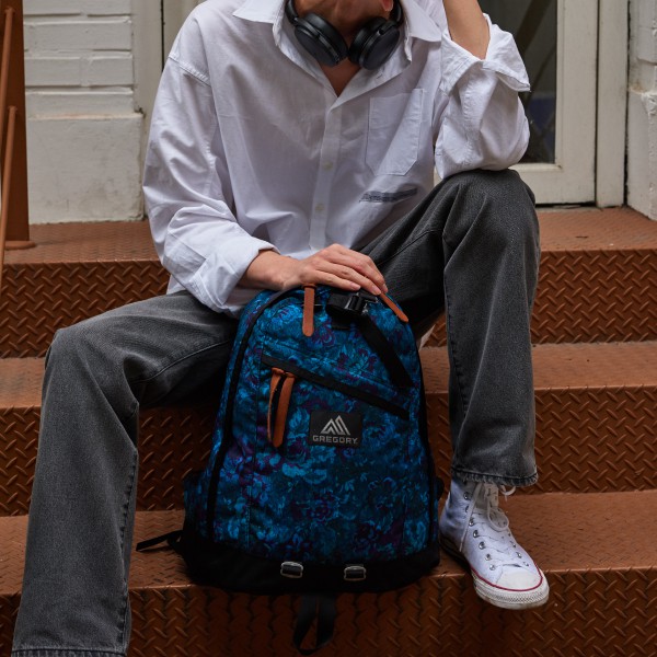 gregory backpack daypack