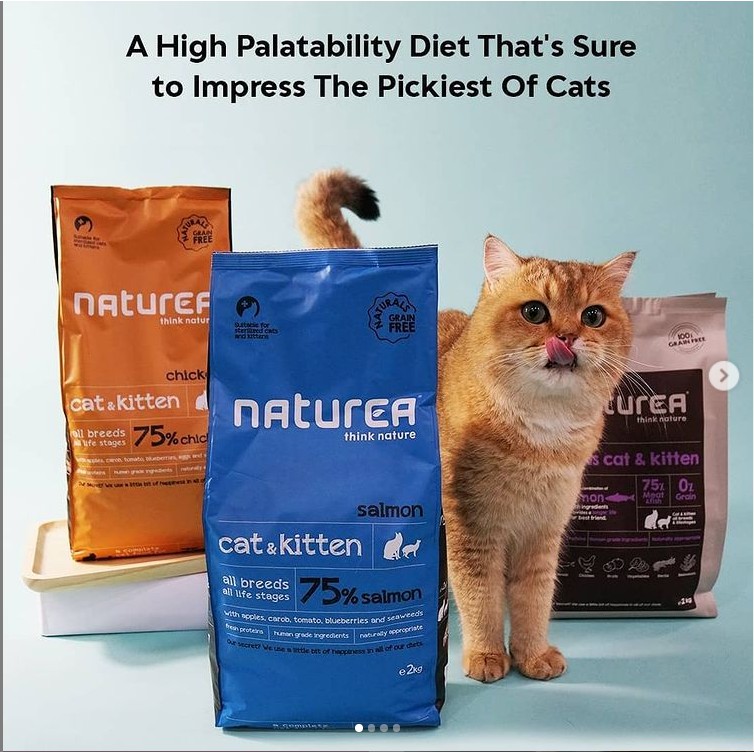 Naturea Grain Free Cats And Kittens Dry Food Salmon 2kg 7kg Shopee Singapore