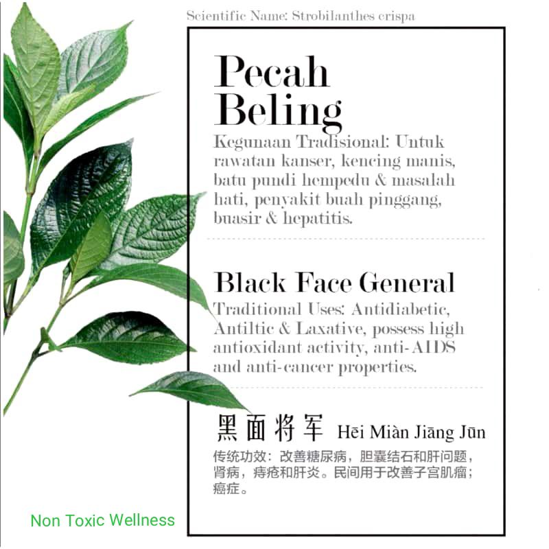 Black Face General 黑面将军13 Teabags Shopee Singapore