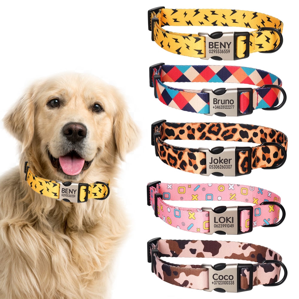 big dog collars with name