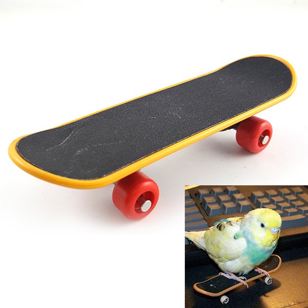 small skateboard toys