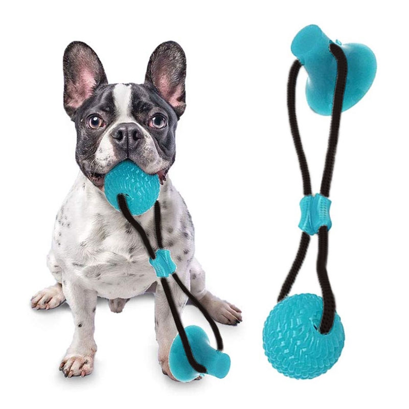 suction cup dog toy ball