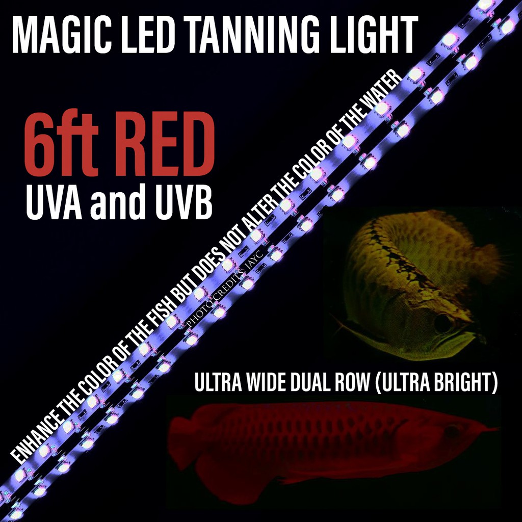Arowana MAGIC LED Tanning Light 6ft Shopee Singapore