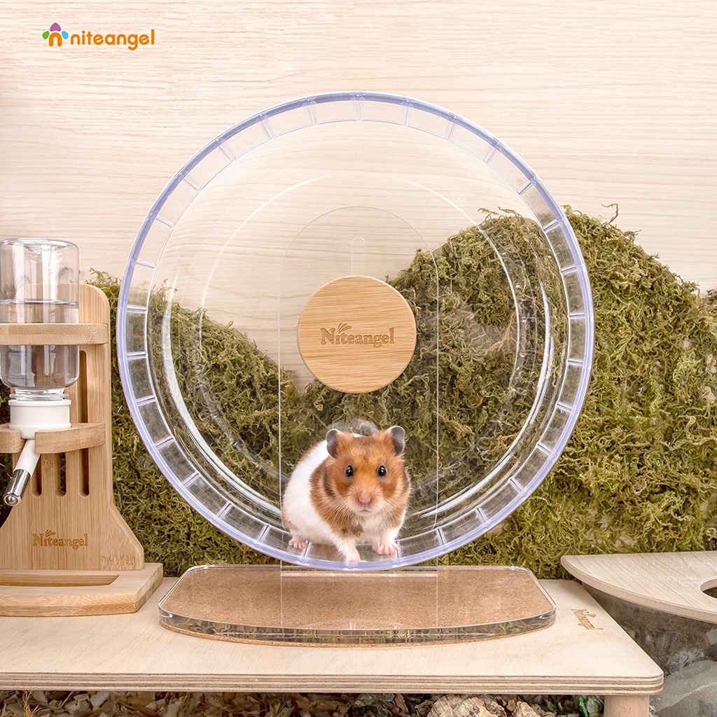 Niteangel SuperSilent Hamster Exercise Wheel Shopee Singapore