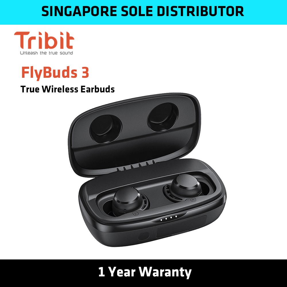 independent true wireless earbuds