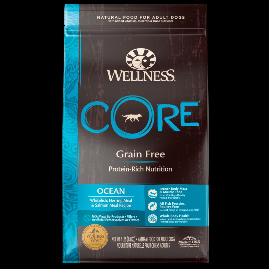 wellness core ocean