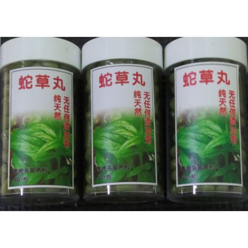 馬來西亞抗癌草藥 憂遁草 健康草藥 馬來西亞生草藥專家