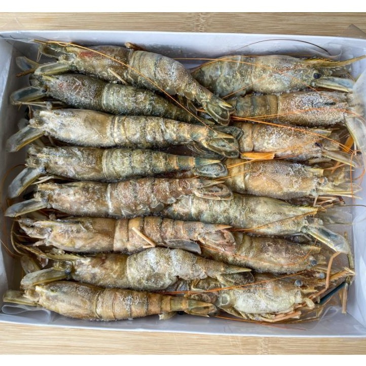 U15 Scampi 大头虾 1kg Hoso Shopee Singapore