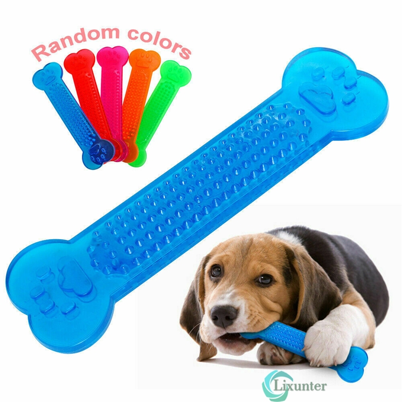 Durable Dog Chew Toys—Rubber Bone toy 