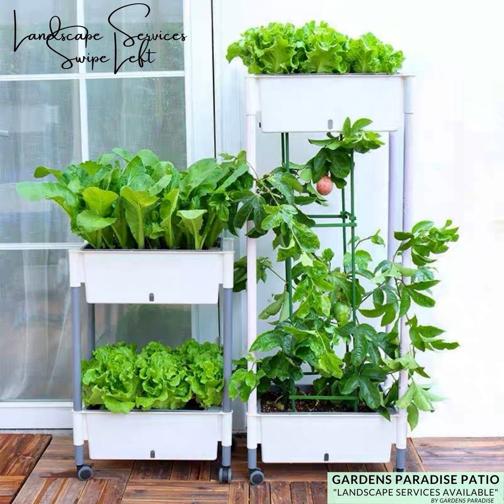 Vegetables, Plants and Flower Garden Self Watering Series Multiple