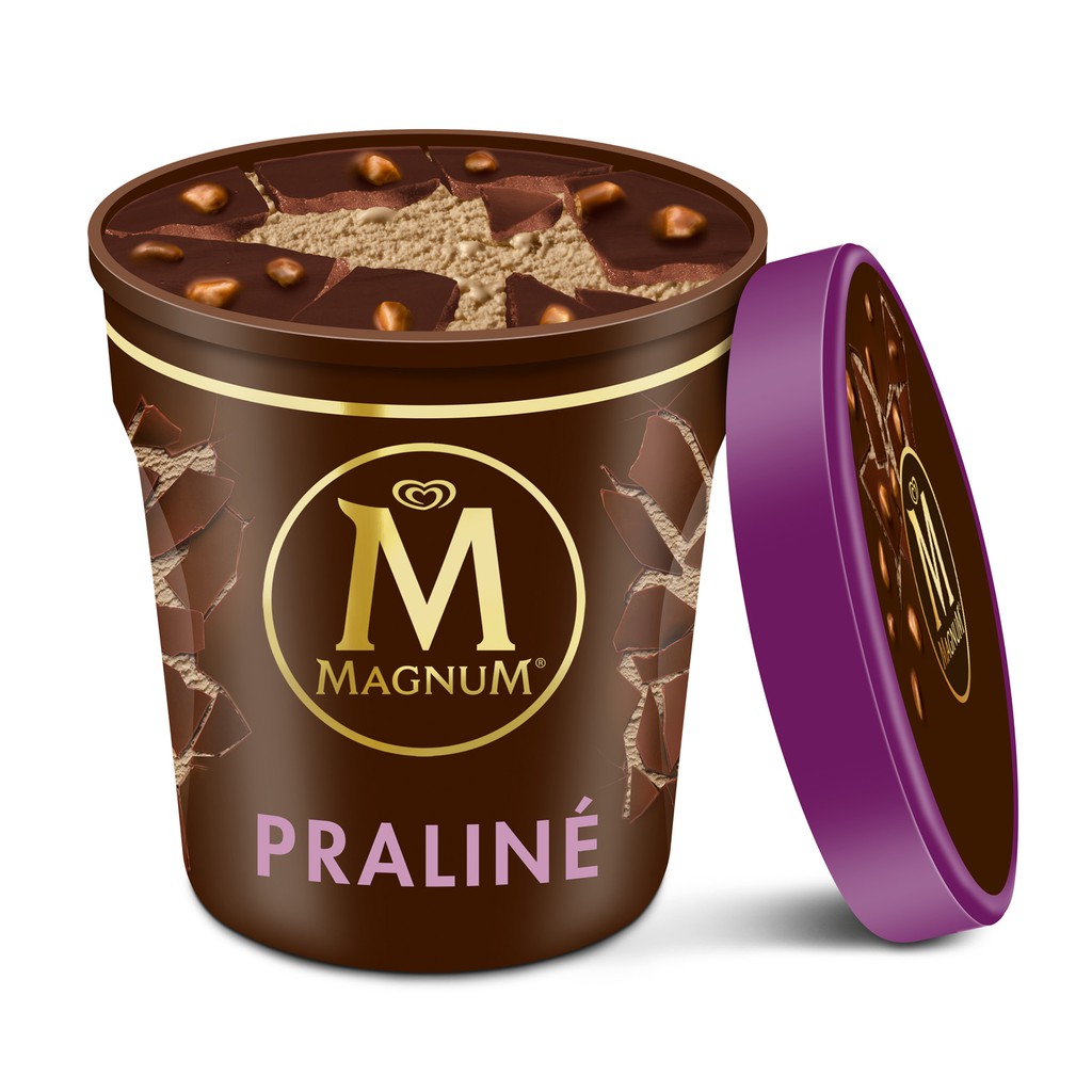 Magnum Hazelnut Praline Pint 440ml Shopee Singapore