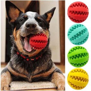 dog chew ball